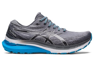 Asics Gel-kayano 29 Tenisiće Muške Sive Bijele | RS4554-324