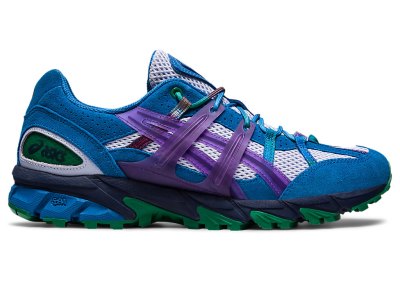 Asics Gel-sonoma 15-50 Patike Muške Ljubičaste Ljubičaste | RS1080-507