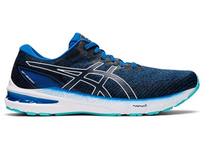 Asics Gt-2000 10 Tenisiće Muške Plave Bijele | RS6325-960