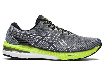 Asics Gt-2000 10 Tenisiće Muške Sive Bijele | RS6345-241