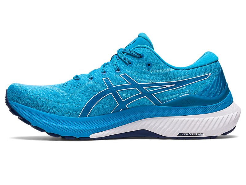 Asics Gel-kayano 29 Tenisiće Muške Plave Bijele | RS1609-564