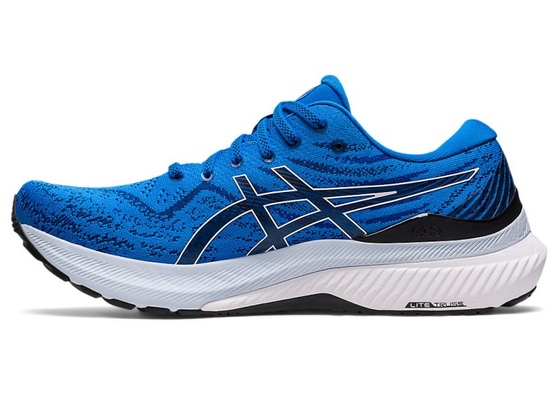 Asics Gel-kayano 29 Tenisiće Muške Plave Bijele | RS3083-927