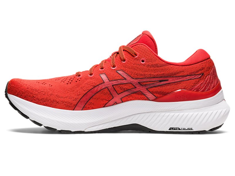 Asics Gel-kayano 29 Tenisiće Muške Roze Crne | RS5405-495