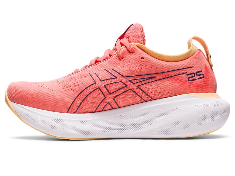 Asics Gel-nimbus 25 Tenisiće Ženske Koraljne Ljubičaste | RS0961-257