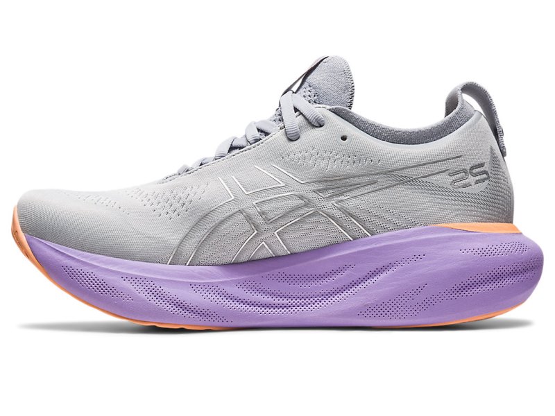 Asics Gel-nimbus 25 Tenisiće Ženske Sive Srebrne | RS0786-062