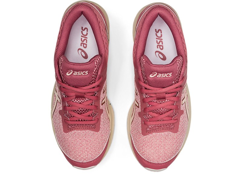 Asics Gt-1000 10 Tenisiće Dječje Roze Roze | RS8800-205