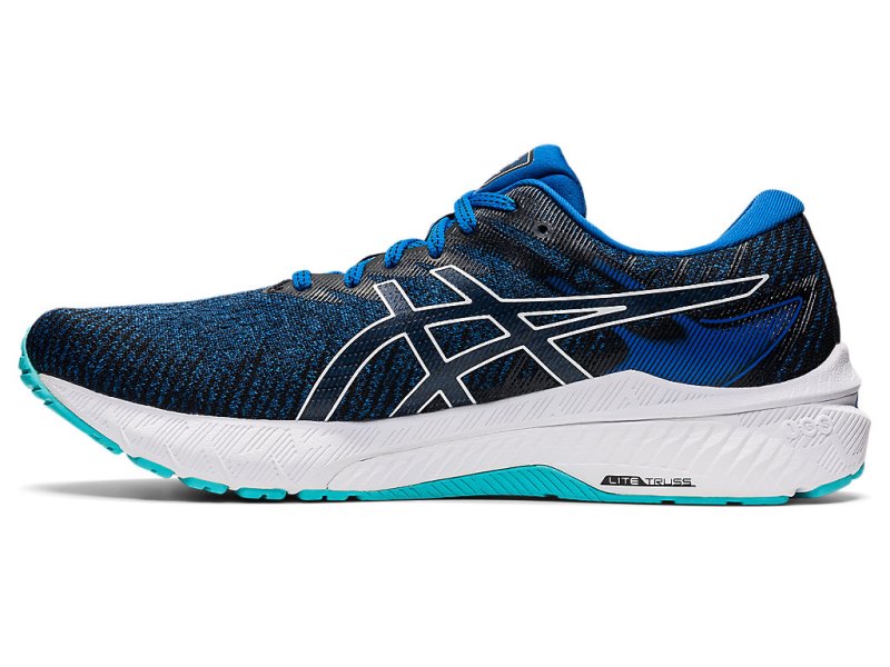 Asics Gt-2000 10 Tenisiće Muške Plave Bijele | RS6325-960