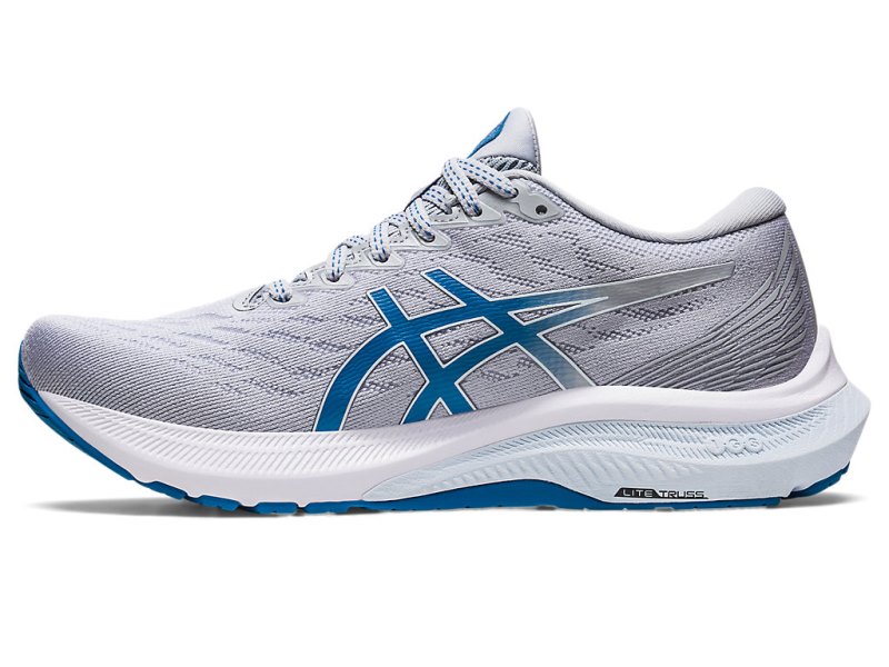 Asics Gt-2000 11 Tenisiće Ženske Sive Plave | RS2491-392